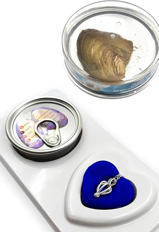 Mobee İstiridye İçinde Gerçek İnci Kolye Sevgililer Günü Hediyesi Özel Tasarım Hediyelik Kolye